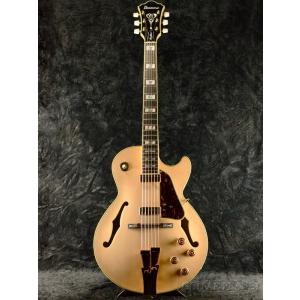 FUJIGEN（フジゲン） Anboy Electric Guitar ストラトキャスター
