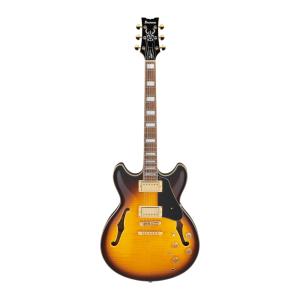 Ibanez（アイバニーズ） Ibanez JSM10 VYS Vintage Yellow Sunburst
