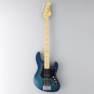 FgN(FUJIGEN) / JMJ2B-ASH-M/OPB(Open Pore Black) 《ベース