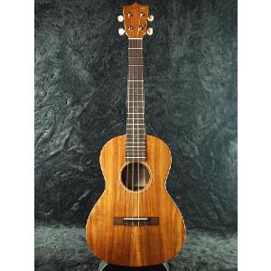 L.R.Baggs SESSION VTC アコギ用ハイブリッド・ピックアップシステム