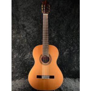 アウトレットセール アウトレット品 Traveler Guitar トラベラーギター