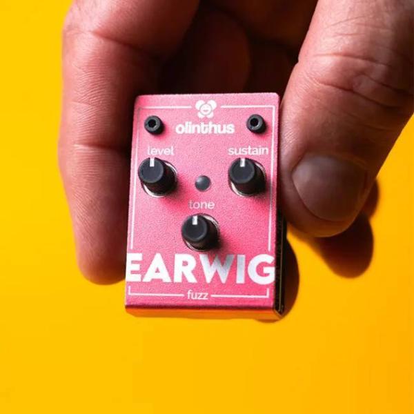 Olinthus / EARWIG 新品 ファズ《エフェクター》