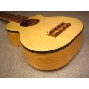 21年製 Papaloha Hui フイ ソプラノウクレレ ウクレレ 日本人気超絶高評価