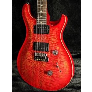 Paul Reed Smith / Custo...の詳細画像2
