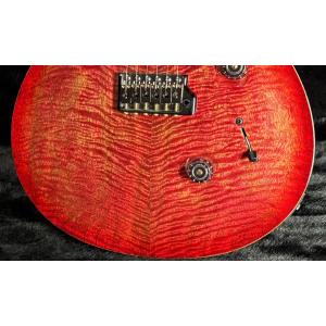 Paul Reed Smith / Custo...の詳細画像3