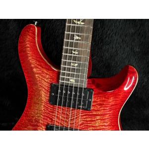 Paul Reed Smith / Custo...の詳細画像4