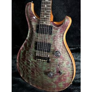 Paul Reed Smith / Custo...の詳細画像2