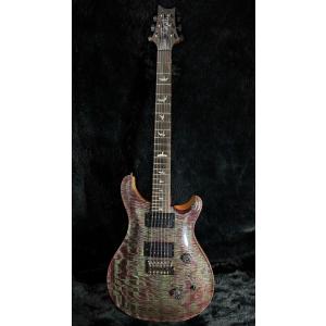 Paul Reed Smith / Custo...の詳細画像1