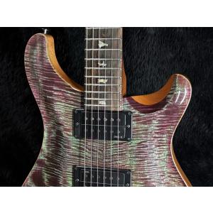 Paul Reed Smith / Custo...の詳細画像4