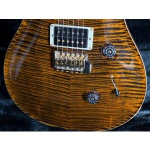 Paul Reed Smith / Custo...の詳細画像3
