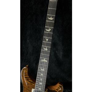 Paul Reed Smith / Custo...の詳細画像5