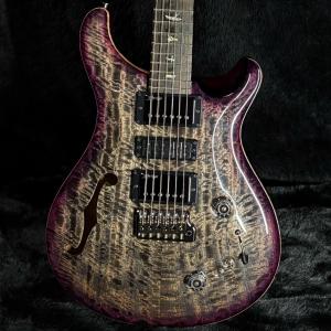 Paul Reed Smith / Speci...の詳細画像2