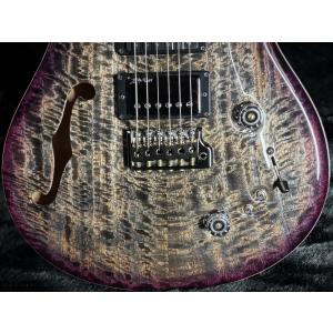 Paul Reed Smith / Speci...の詳細画像3