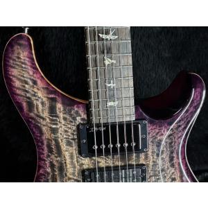 Paul Reed Smith / Speci...の詳細画像4