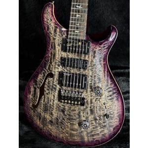 Paul Reed Smith / Speci...の詳細画像5