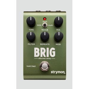 ズーム（zoom） ZOOM G11 Multi-Effects Processor for Guitarists