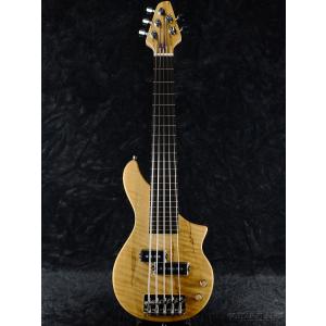 ESP GrassRoots G-JB-55R チェリーサンバースト 《ベース》 : ギター