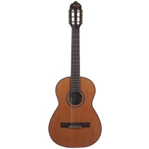 アコースティックギター 初心者 セット 台数限定 Epiphone AJ-100/VS