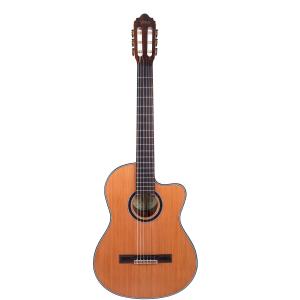 Epiphone（エピフォン） アコースティック用ハードケース 純正 940