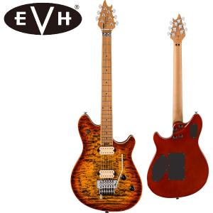 EVH Wolfgang Special -Silverburst / Ebony-《エレキギター