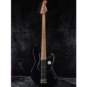 FREEDOM CUSTOM GUITAR RESEARCH Order Style Dulake Libero 5st