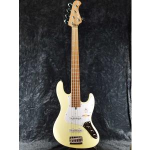 STEINBERGER(スタインバーガー) 純正 ヘッドレスベース専用 ハード