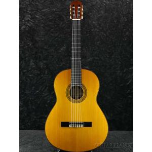 ESP Charプロデュース BambooInn-C 楽天市場】ESP Charプロデュース BambooInn-C バンブーイン : 楽器de元気