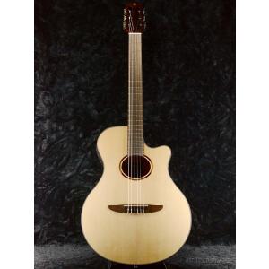 YAMAHA（ヤマハ） YAMAHA LL16 ARE/NT オール単板 ケース付 : 愛曲楽器