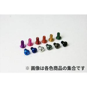 R31HOUSE(R31ハウス)/R31M057PUB/ジュラルミンヘックスボタンビス M3×5mm 5個入り パープル｜gun-yumekukan