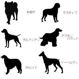 愛犬 キーホルダー 大型犬 S/Mサイズ スタ...の詳細画像5