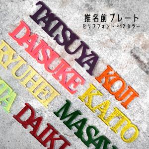 ★厚み3mm★【セリフフォント】英語 お名前 プ...の商品画像