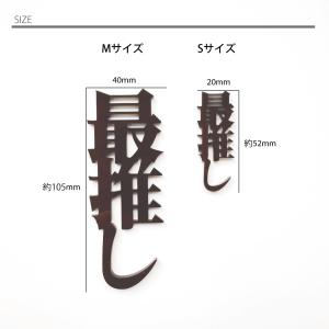 Sサイズ xお好きな2個【 漢字 ひらがな カ...の詳細画像3