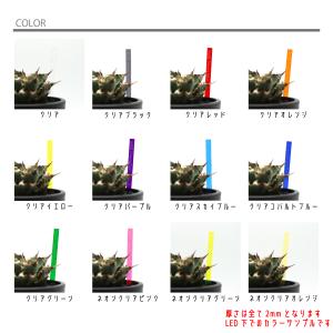 オリジナルプランツタグ 3枚セット 植物ネーム...の詳細画像1