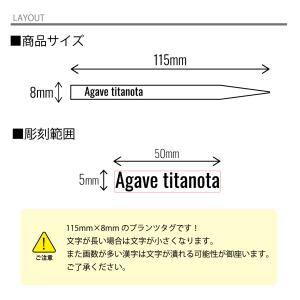オリジナルプランツタグ 3枚セット 植物ネーム...の詳細画像4