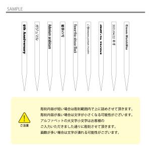 オリジナルプランツタグ 3枚セット 植物ネーム...の詳細画像5