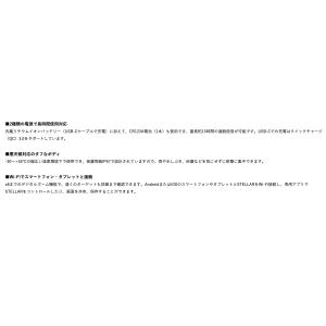 HIKMICRO STELLAR SQ50 ハ...の詳細画像4
