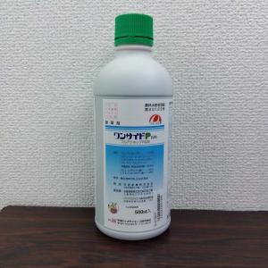 最安値挑戦中 ワンサイドP乳剤 500ml 除草...の商品画像