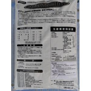 最安値挑戦中 ゴールド興産 タケミバイオ 10...の詳細画像1