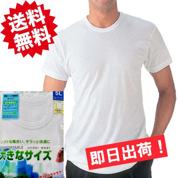 半袖丸首シャツ 2枚セット 3L4L5L 大きいサイズ ゆったりラクラク 吸汗速乾 02BTB