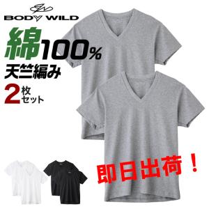 グンゼ BODY WILD ＶネックＴシャツ ２枚セット 綿100％ BW5015A メール便｜gunze-it