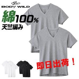 グンゼ BODY WILD ＶネックＴシャツ 6枚セット 綿100％ BW5015A6｜gunze-it