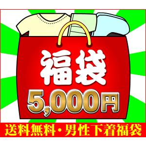 グンゼ メンズインナー福袋 ボクサー福袋 BODY...