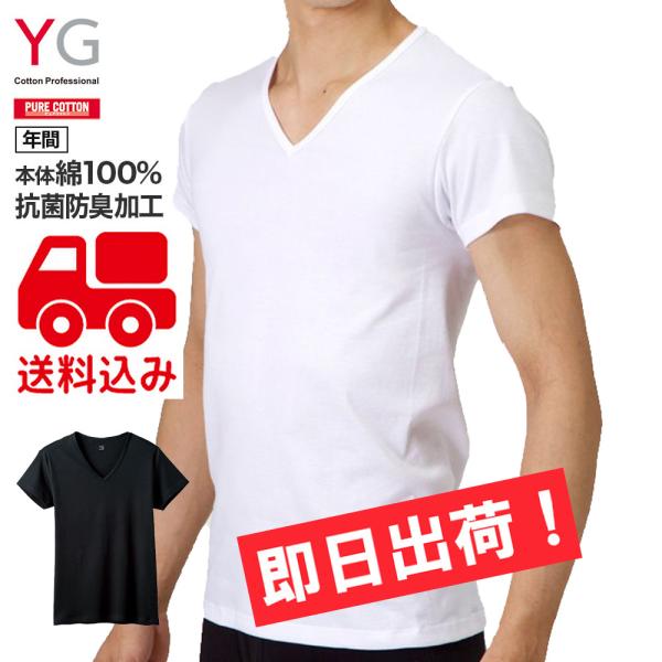 グンゼ VネックTシャツ 5枚セット YG 綿100％ YV0015V5 即日出荷！