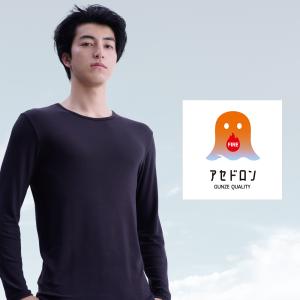 グンゼ ファイヤーアセドロン メンズ ソックス...の詳細画像2