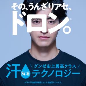 グンゼ アセドロン フットカバー メッシュ 3...の詳細画像4