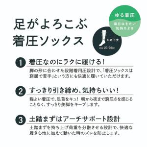 グンゼ 着圧 ハイソックス レディース 綿 靴...の詳細画像3
