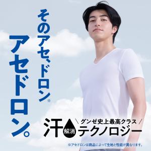 グンゼ GUNZE アセドロン 靴下 メンズ ...の詳細画像4