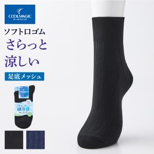 Dir タイツ詰め合わせ gunze_21wg250