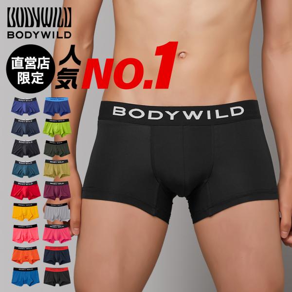 グンゼ GUNZE ボディワイルド BODY WILD ボクサーパンツ メンズ 前閉じ パンツ ロー...