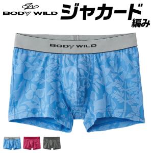 アウトレット ボディワイルド ボクサーパンツ 前とじ メンズ 年間 GUNZE グンゼ BODY WILD 前とじ 前閉じ M〜LL BWE097J